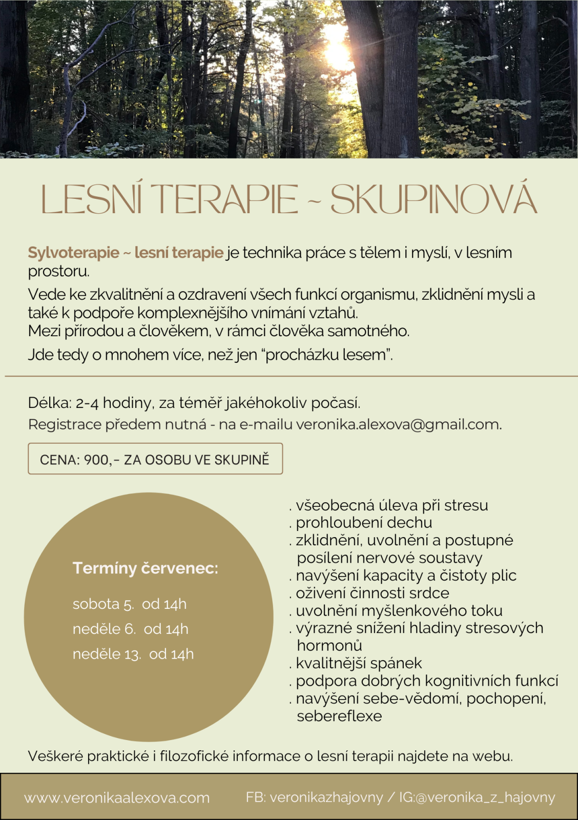 LESNÍ TERAPIE