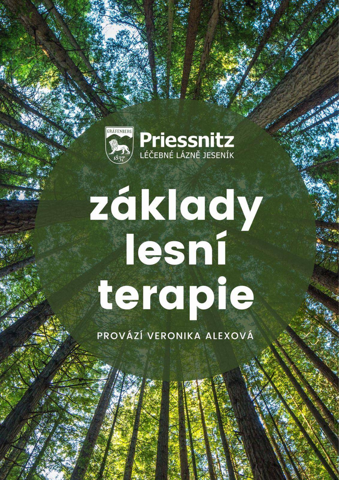 ZÁKLADY LESNÍ TERAPIE