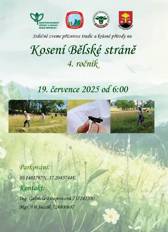 KOSENÍ BĚLSKÉ STRÁNĚ