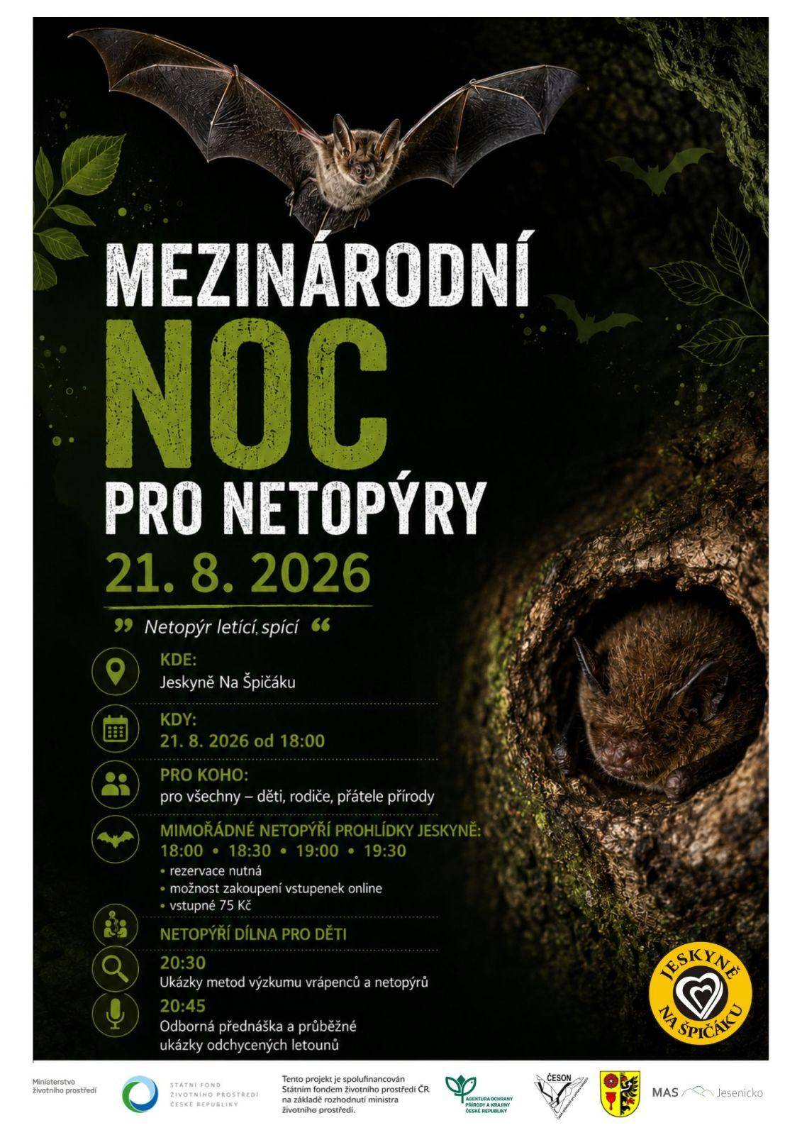 Mezinárodní noc pro netopýry