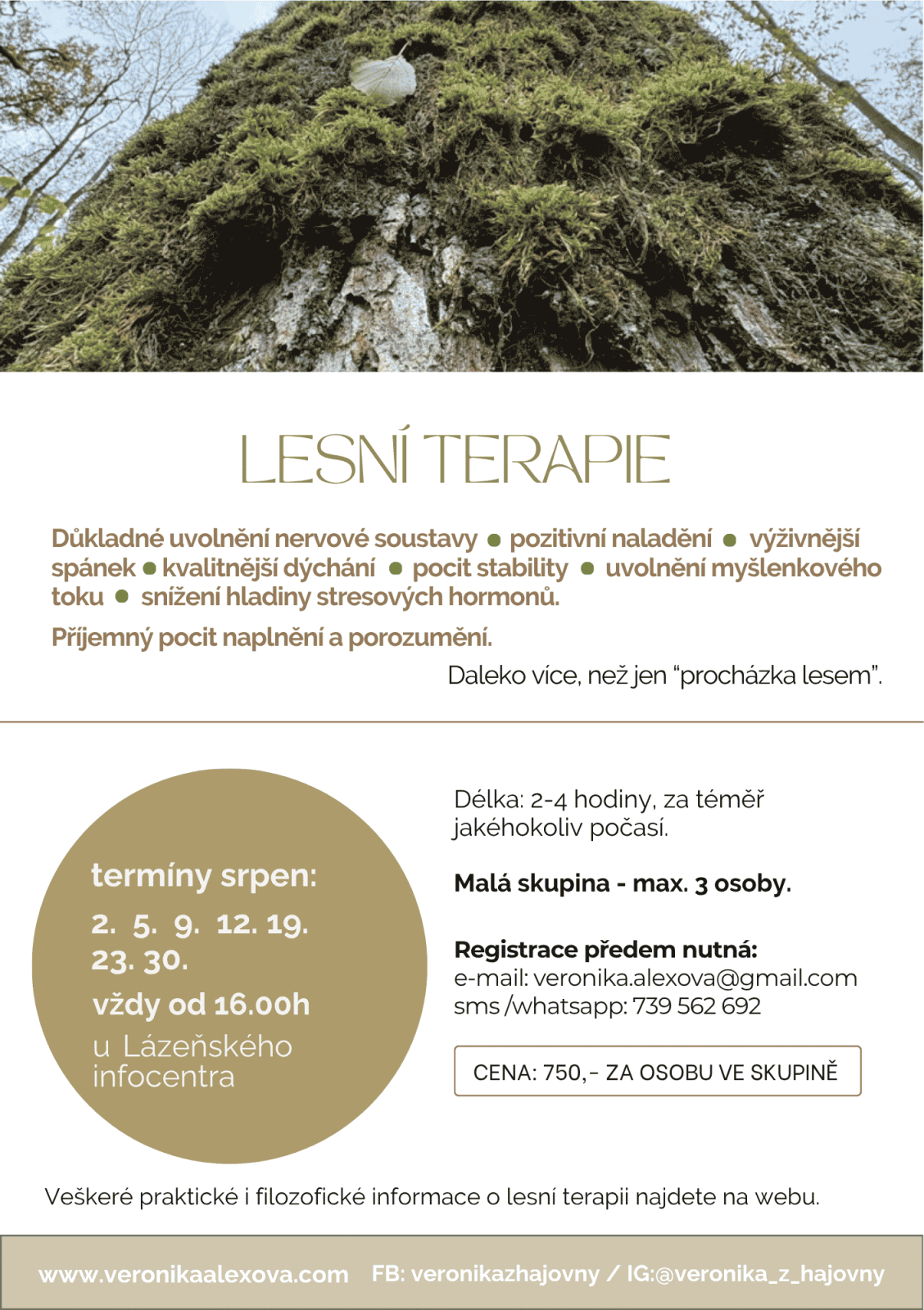 LESNÍ TERAPIE