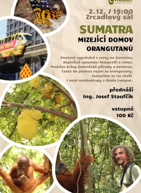SUMATRA - MIZEJÍCÍ DOMOV ORANGUTANŮ