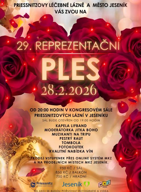 29. REPREZENTAČNÍ PLES