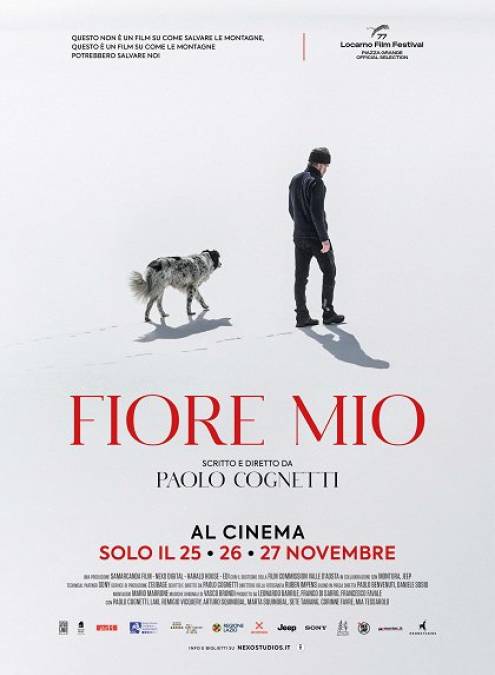 HORY PAOLA COGNETTIHO