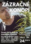 Beseda o léčbě konopím se Svatým a Sedláčkem