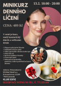 MINIKURZ DENNÍHO LÍČENÍ