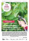 EXKURZE do městského ovocného sadu II – výchovný řez mladých stromů