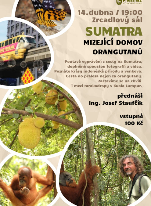 SUMATRA - MIZEJÍCÍ DOMOV ORANGUTANŮ
