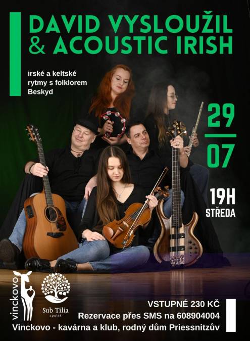 DAVID VYSLOUŽIL & ACOUSTIC IRISH