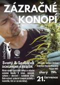 BESEDA O LÉČBĚ KONOPÍM SE SVATÝM SEDLÁČKEM