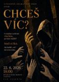 CHCEŠ VÍC?