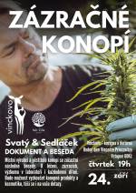 O LÉČBĚ KONOPÍM SE SVATÝM A SEDLÁČKEM