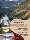 Degustace lucemburských vín v Caffe 113